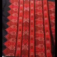 دوزنده هستو