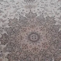 دو فرش ۱۲ متری ۵۰۰ شانه و یک فرش ۲×۱ به صورت ست|فرش|رشت, رودباری|دیوار