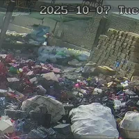 کارگر دائم و منظم و سالم