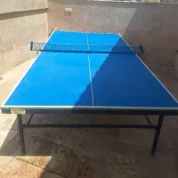میز پینگ پنگ