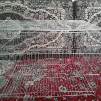 قفس پرنده|لوازم جانبی حیوانات|شیراز, شهدای شهرک سعدی|دیوار