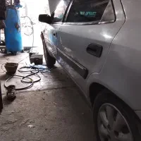 زانتیا نقره ای سیر