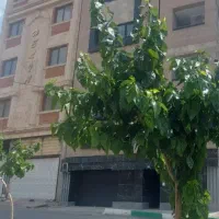 فروش-آپارتمان-نوساز-و-تجهیز-شده-122-متری-رودهن