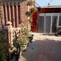 گل وگیاه|گل و گیاه طبیعی|شیراز, بازار|دیوار