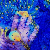 لباس های مجلسی|لباس|جوانرود, |دیوار