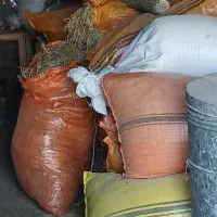 کاه یا سرچینا