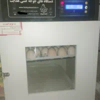 دستگاه جوجه کشی 42 تایی هدایت