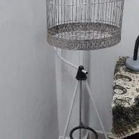 قفس ایستاده
