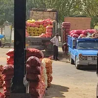 اجاره غرفه در میدان تره‌بار مرکزی 6 دانگ تخلیه|اجارهٔ مغازه و غرفه|تهران, میدان میوه و تره‌بار مرکزی|دیوار