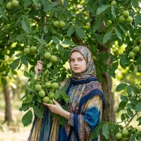 فروش قسطی نهال پسته انگور بادام دیرگل پسته خوشه ای