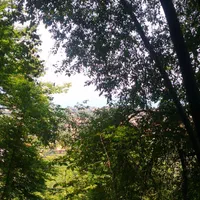 کوهنوردی و طبیعت گردی