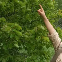 باغ ویلایی