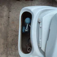 فروش سالم ونواست