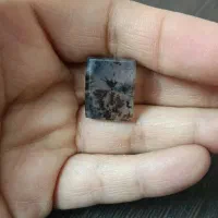 شجر قائنات مناسب انگشتر و مدال گردن آویز