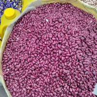 لوبیا قرمز درجه یک اعلا