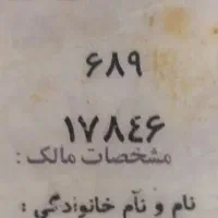 پلاگ گمشده