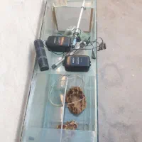 آکواریون|لوازم جانبی حیوانات|شهرضا, |دیوار