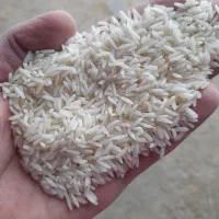 برنج هاشمی سورتینگ شده|عمده‌فروشی|صومعه‌سرا, |دیوار