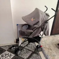 کالسکه عصایی