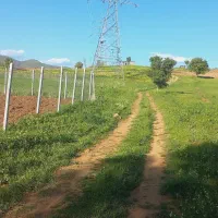 زمین کشاورزی دشت لنجاوا|فروش دفتر صنعتی، کشاورزی، تجاری|مریوان, |دیوار