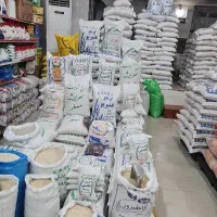 برنج کامفیروز. عنبر بو  و برنج شمال.