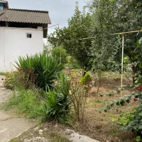 اجاره سالیانه خانه ویلایی روستای معلم کلا دشت سر