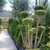 خدمات‌باغبانی‌درسراسر‌تهران