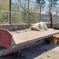 کفی جرثقیل|ماشین‌آلات صنعتی|مرودشت, شهرک مهدیه|دیوار