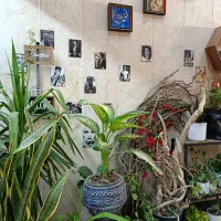 قهوه هیلان یک فنجان حال خوب|خدمات پذیرایی، مراسم|کهریزک, |دیوار