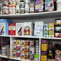 سرلاک اوشکایا مینا عروس هلندی دان مخلوط اسباب بازی