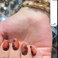 النگوی خلیجی طلاروس