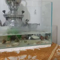 ماهی با اکفاریوم
