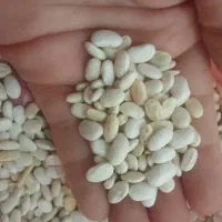 لوبیا سفید یک تن