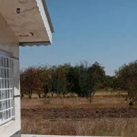 زمین-کشاورزی-فریدونشهر-اصفهان