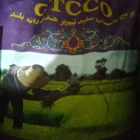 برنج گارمنت وبرنج جی تی سی|خوردنی و آشامیدنی|شیراز, شهرک ولیعصر|دیوار