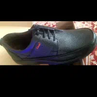 کفش نونومردانه ۴۴|کیف، کفش، کمربند|کلیبر, |دیوار