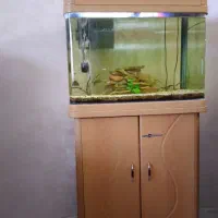 آکواریوم شرکتی ماهیران بهمراه میز شرکتی