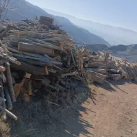 خرید برش درخت و چوب|خدمات باغبانی و درختکاری|محمدیه-قزوین, |دیوار