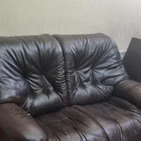 کار تمام چرم مناسب باغ