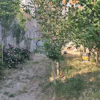 اجاره روزانه باغچه سوئیت دربست توضیحات بخوانید|اجارهٔ کوتاه‌مدت آپارتمان و سوئیت|رودهن, |دیوار