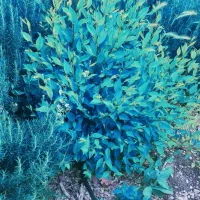 ختم و  نماز ‌ و روزه برای   اموات|فعالیت داوطلبانه|زاهدان, |دیوار