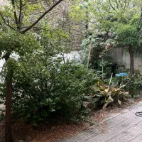 زرتشت غربی۱۵۰متر/۳خواب/۱۰۰متر حیاط اختصاصی