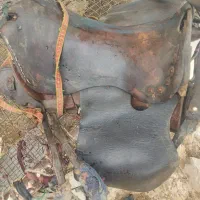 زین اسب 5میلیون