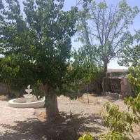 فروش باغ ویلا|فروش خانه و ویلا|بیرجند, |دیوار