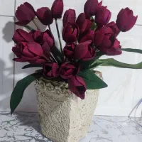 تعدادی گل و گلدان دکوری|گل مصنوعی|اراک, |دیوار