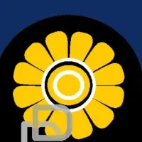 خدمات بیمه