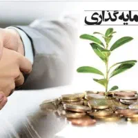 سرمایه گذاری