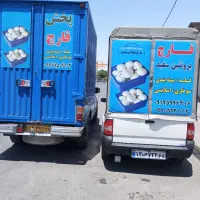 کارخانه و پخش قارچ پروتیین سفید|خوردنی و آشامیدنی|محمدشهر, سیدآباد|دیوار