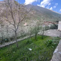 فشم-میگون