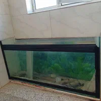 آکواریوم سالم تمیز،باهمه امکانات|ماهی|مبارکه, |دیوار